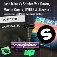 Lost Tribe Vs Sander Van Doorn, Martin Garrix, DVBBS & Aleesia - Gamemaster Gold Skies (Revitalise Mashup)